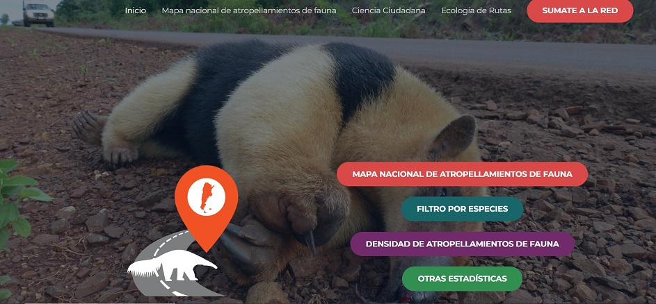 red sobre fauna atropellada